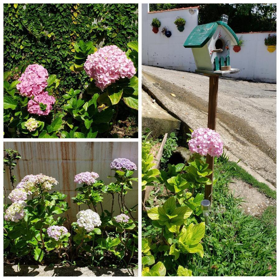 Pousada Das Hortensias Conservatória Buitenkant foto